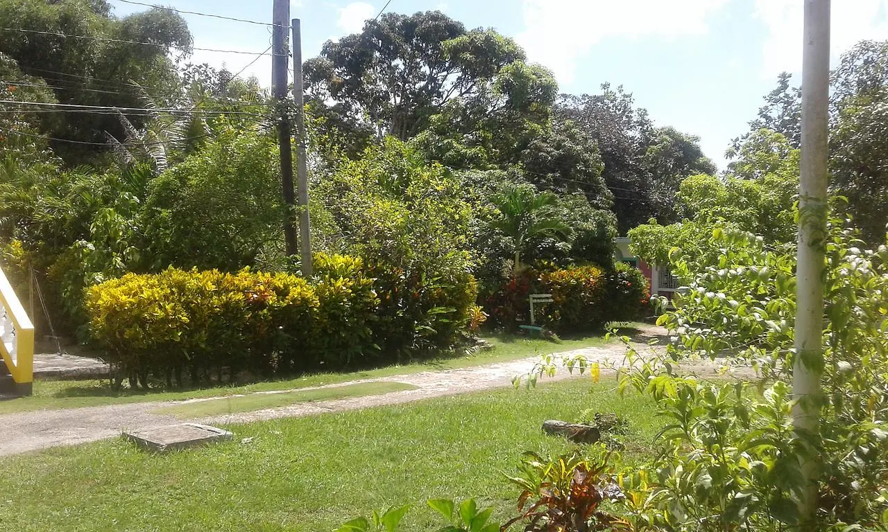 Golden Sunset Villas Negril 0*,  Jamaika