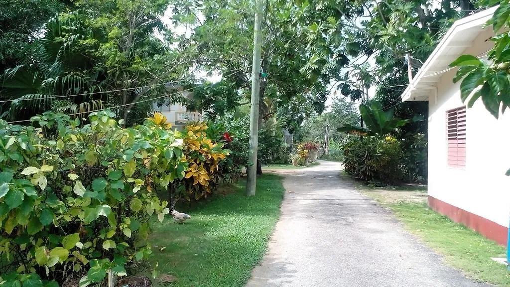 Golden Sunset Villas Negril